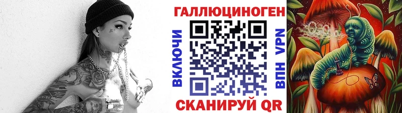 Купить  Пестово  Псилоцибиновые грибы прущие грибы 